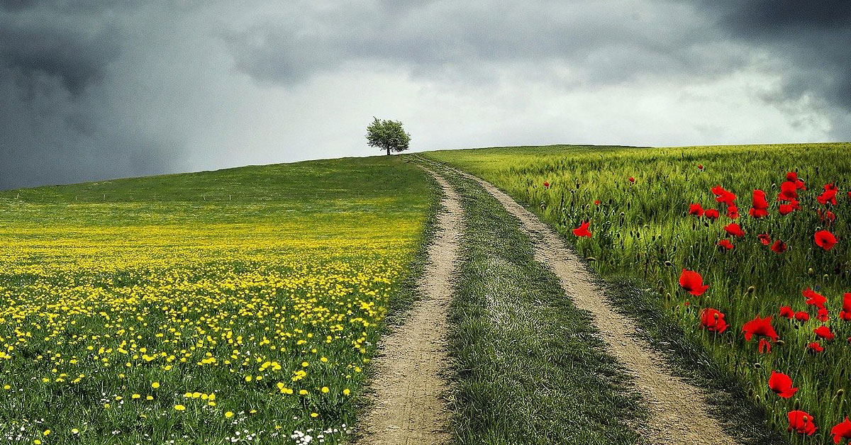 Qué Tener en cuenta para COMPRAR un TERRENO