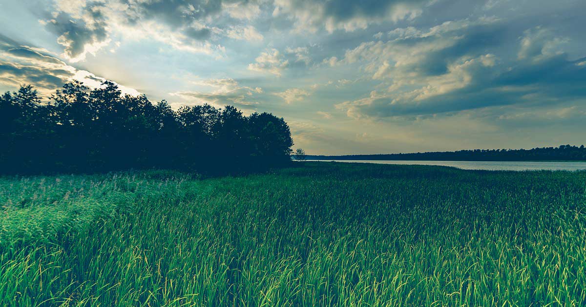 Invertir-en-terrenos